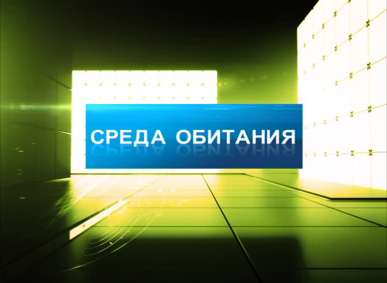 Программа среда. Среда обитания программа. Среда обитания первый канал. Среда обитания ОТР. ГТРК Мурман логотип.