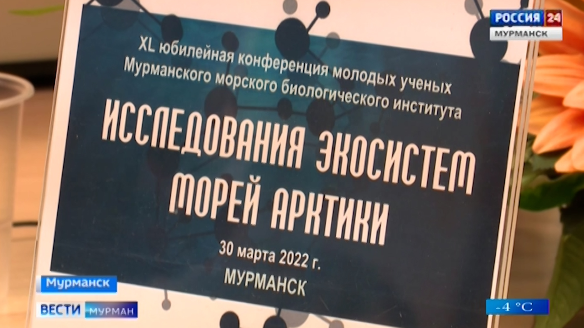 Мурманский биологический институт. Мурманский биологический институт фото. Урманском морском биологическом институте ран. Мурманский биологический институт. Ммби ран мурманск.